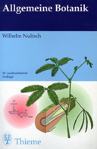 Nultsch