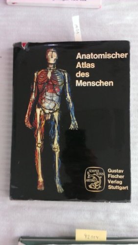 Anatomischer