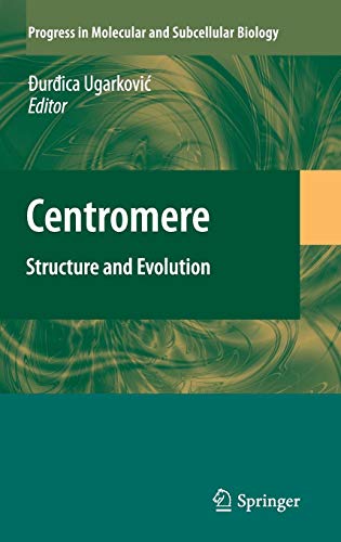 Centromere
