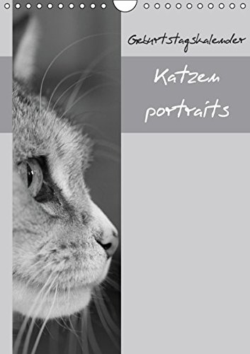Katzenportraits