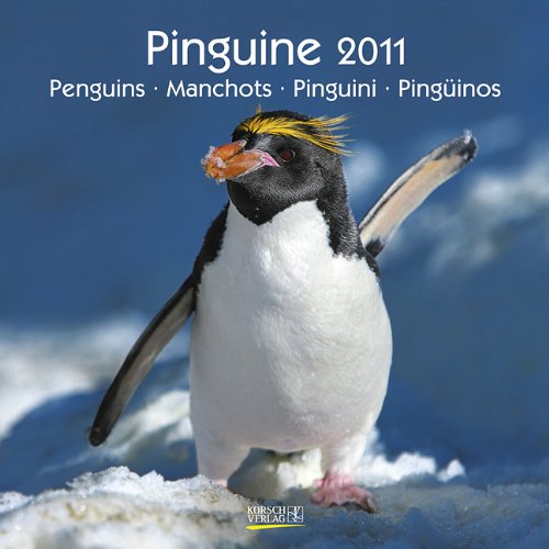 Pingueinos