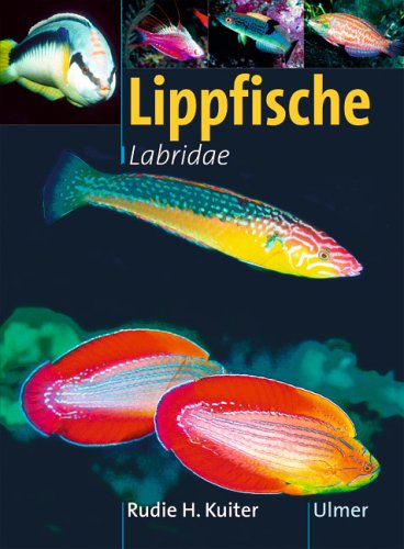 Labridae