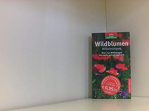 Wildblumen