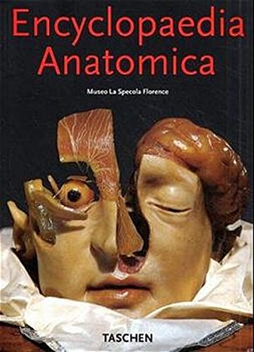 Anatomica
