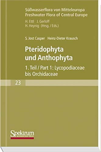 Pteridophyta