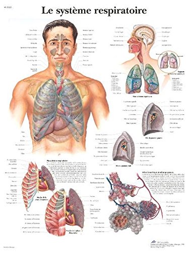 respiratoire