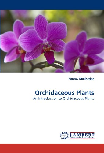 Orchidaceous