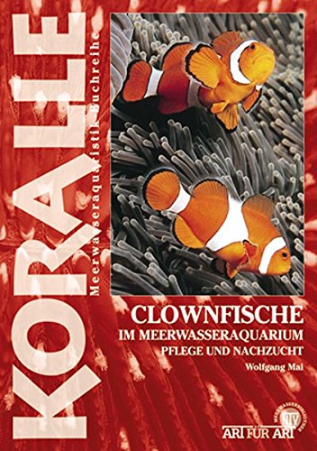 Clownfische