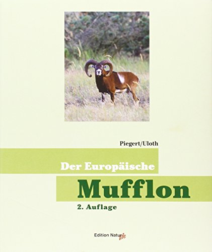 Mufflon