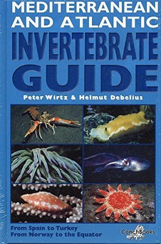 invertebrate