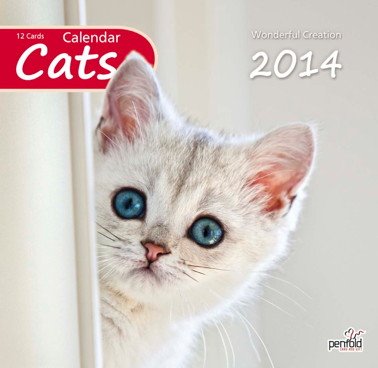 Katzenkalender