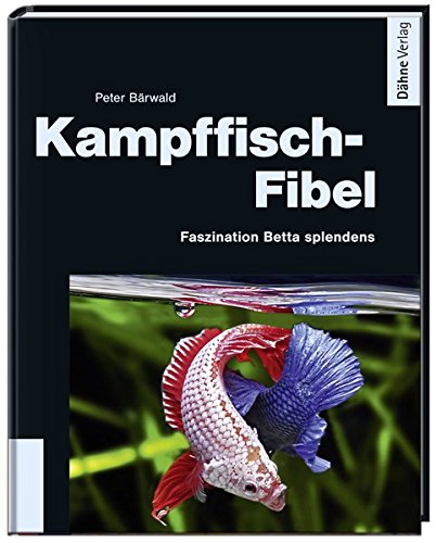 Kampffisch