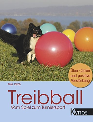 Treibball